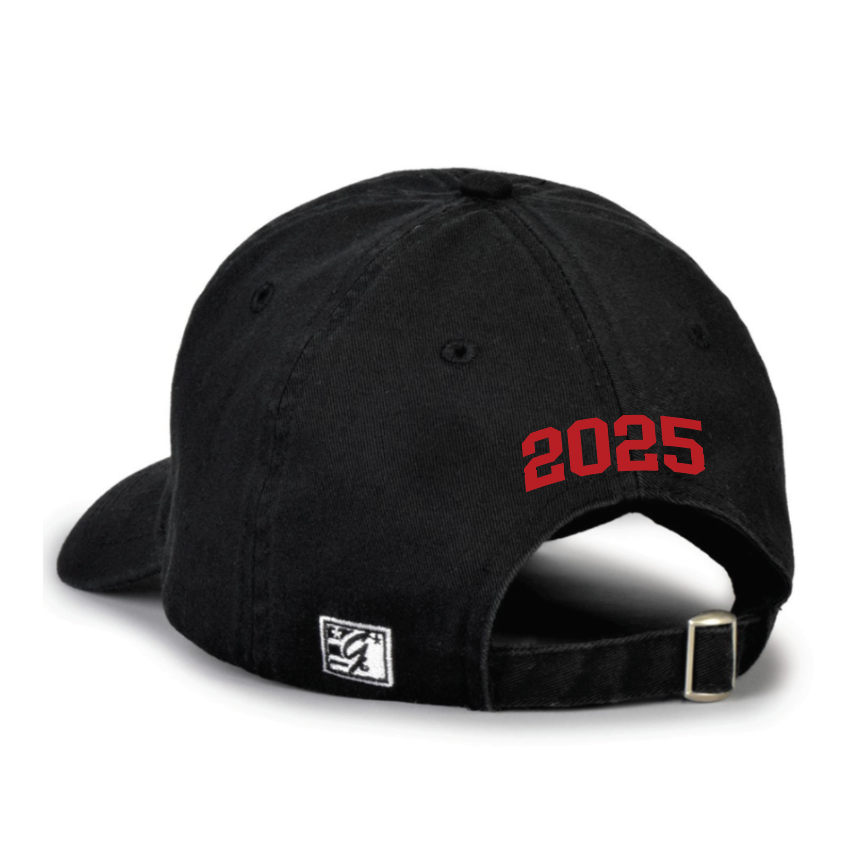 The Game Dad Cap