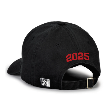 The Game Dad Cap